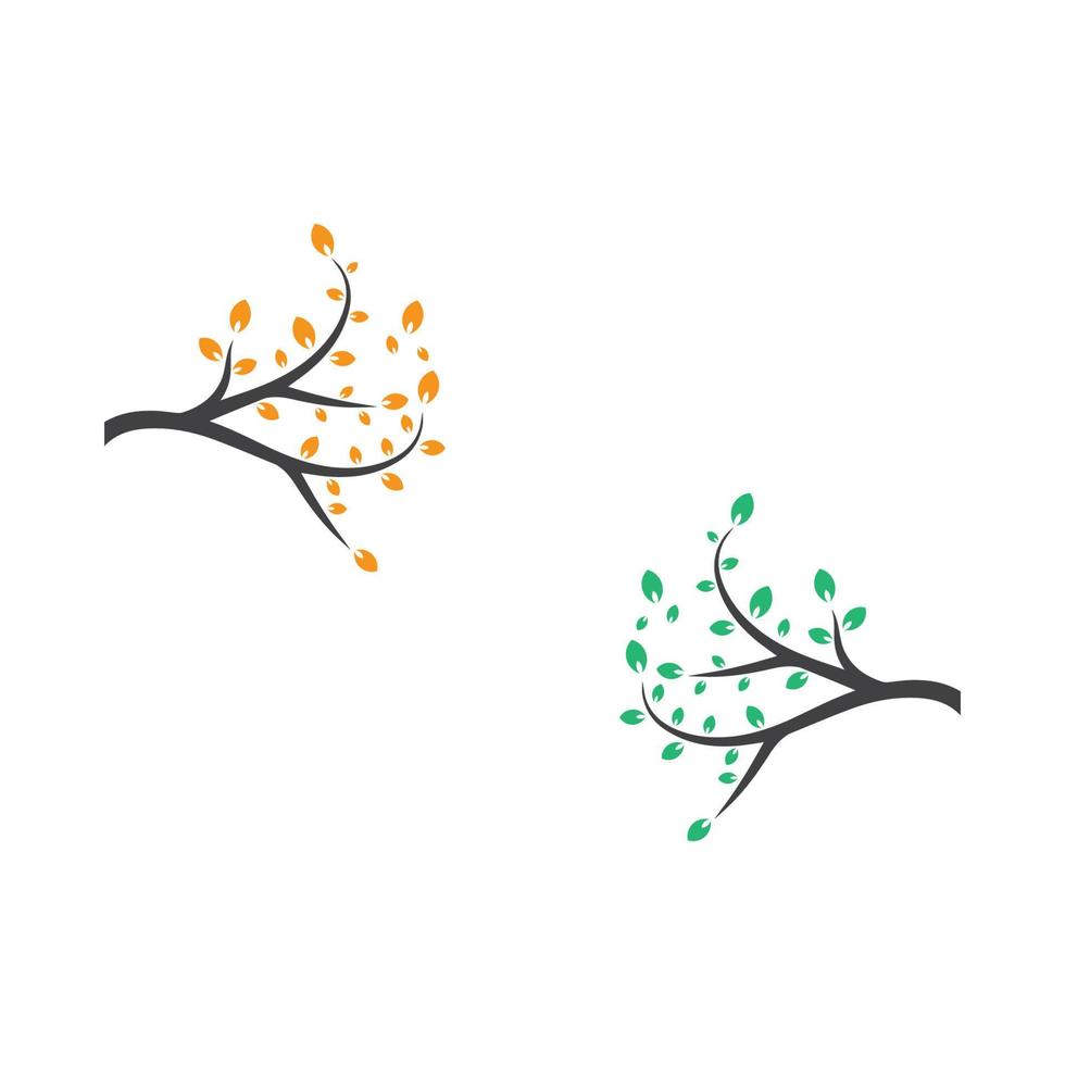 Vector branch , Hand drawn illustration of tree branch design template