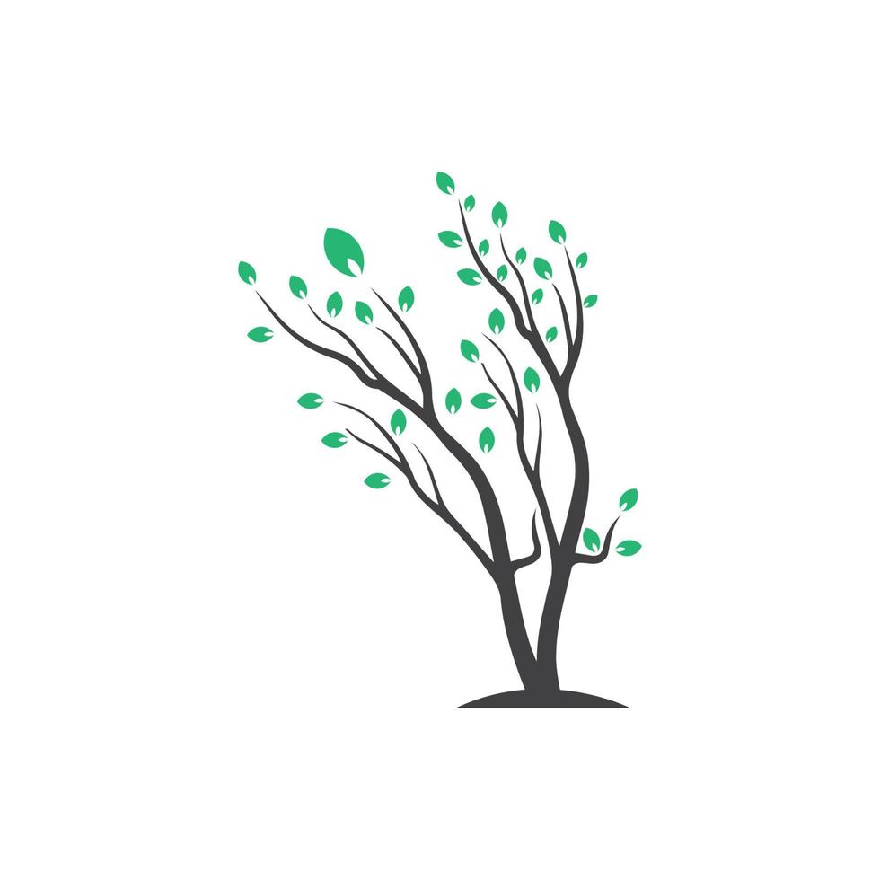 rama vectorial, ilustración dibujada a mano de la plantilla de diseño de rama de árbol vector