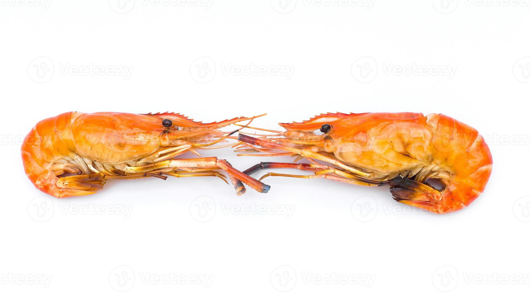 Delicious grilled river prawns on a white background photo