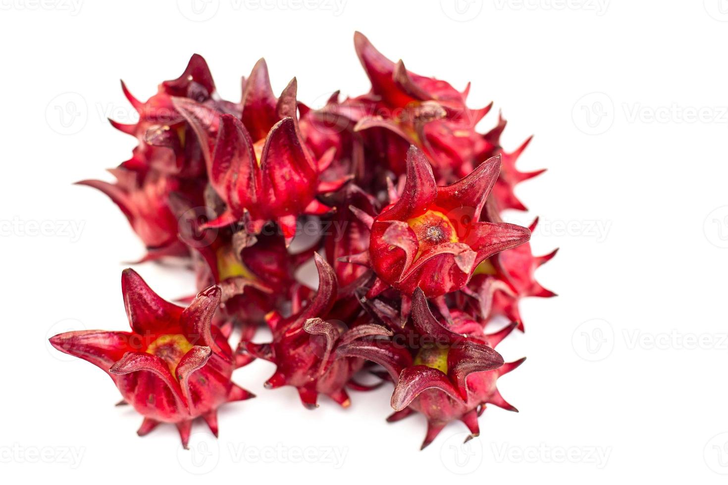 Red raselle is a Thai herb and used as a natural colorant which can dissolved in water. It has more health benefit because in flower has antioxidant. We can boil them in the water photo