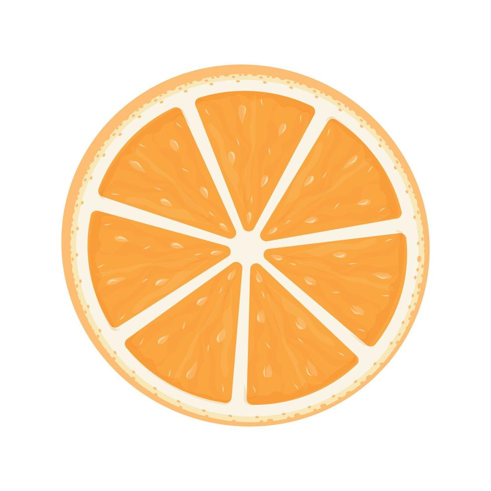 Rodajas de naranja comida tropical ilustración vectorial vector