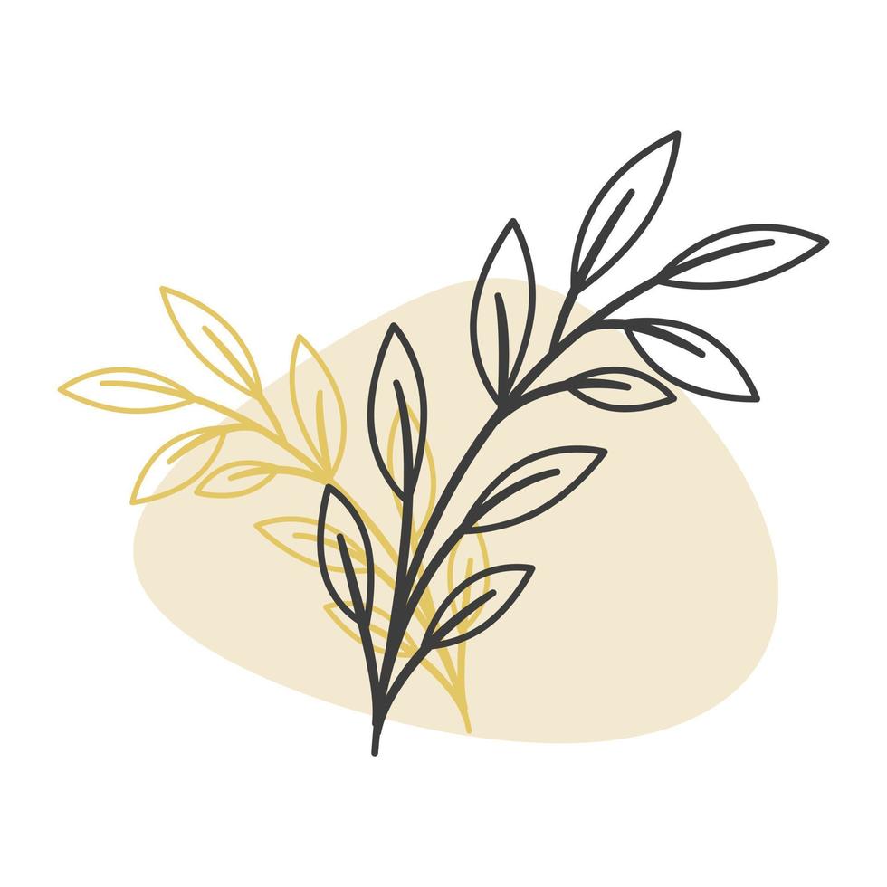 Hand drawn botanical natural plant illustration vector