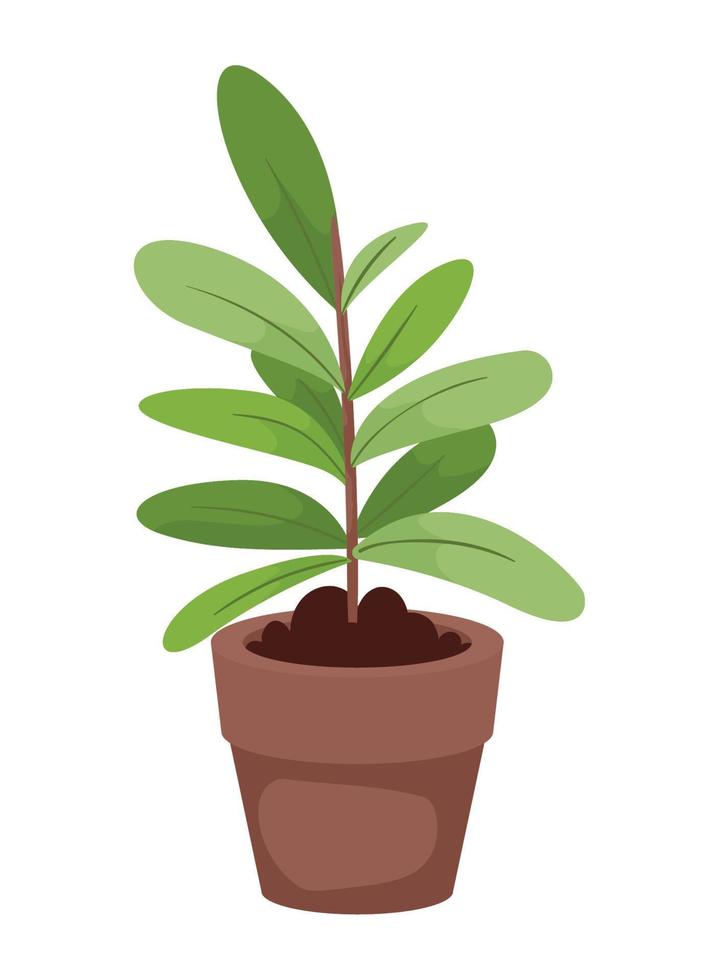 green plant in pot vector