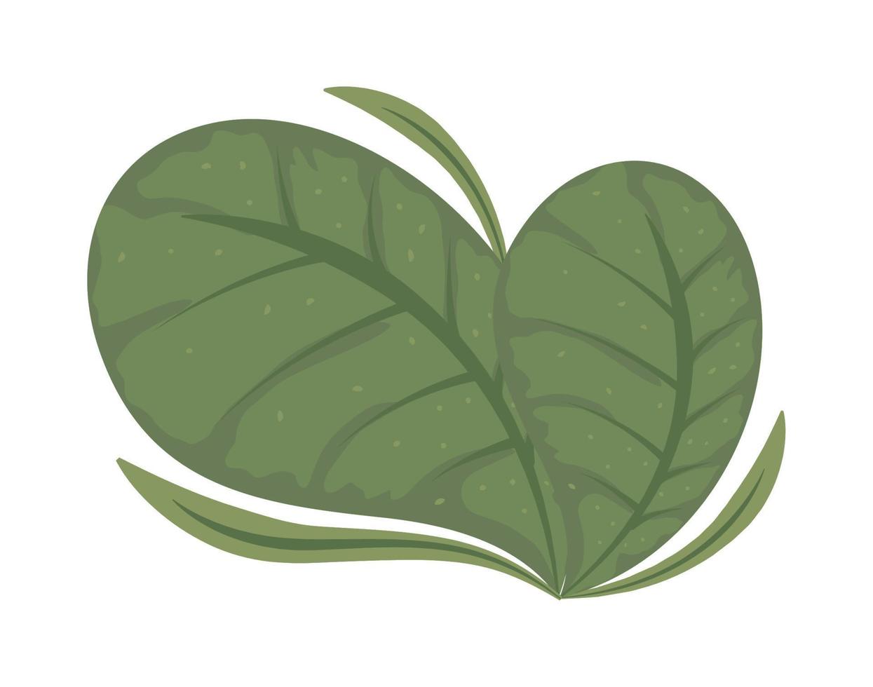 foliage leaves icon vector