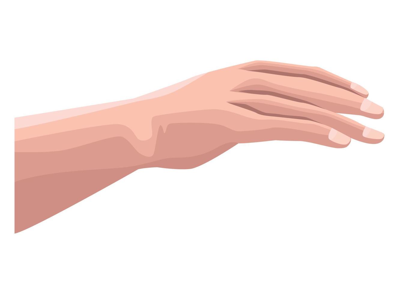 hand human touch vector