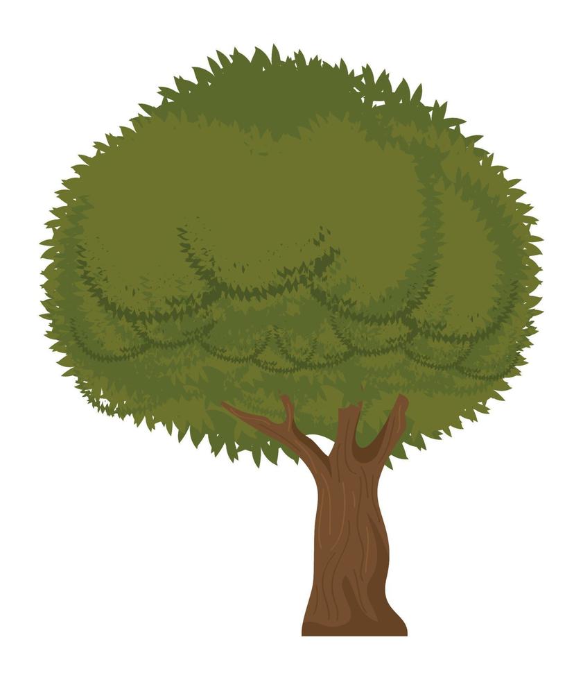 green tree plant 10458991 Vector Art at Vecteezy