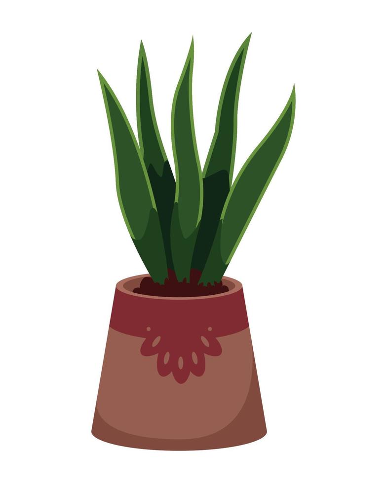 water plant in pot vector