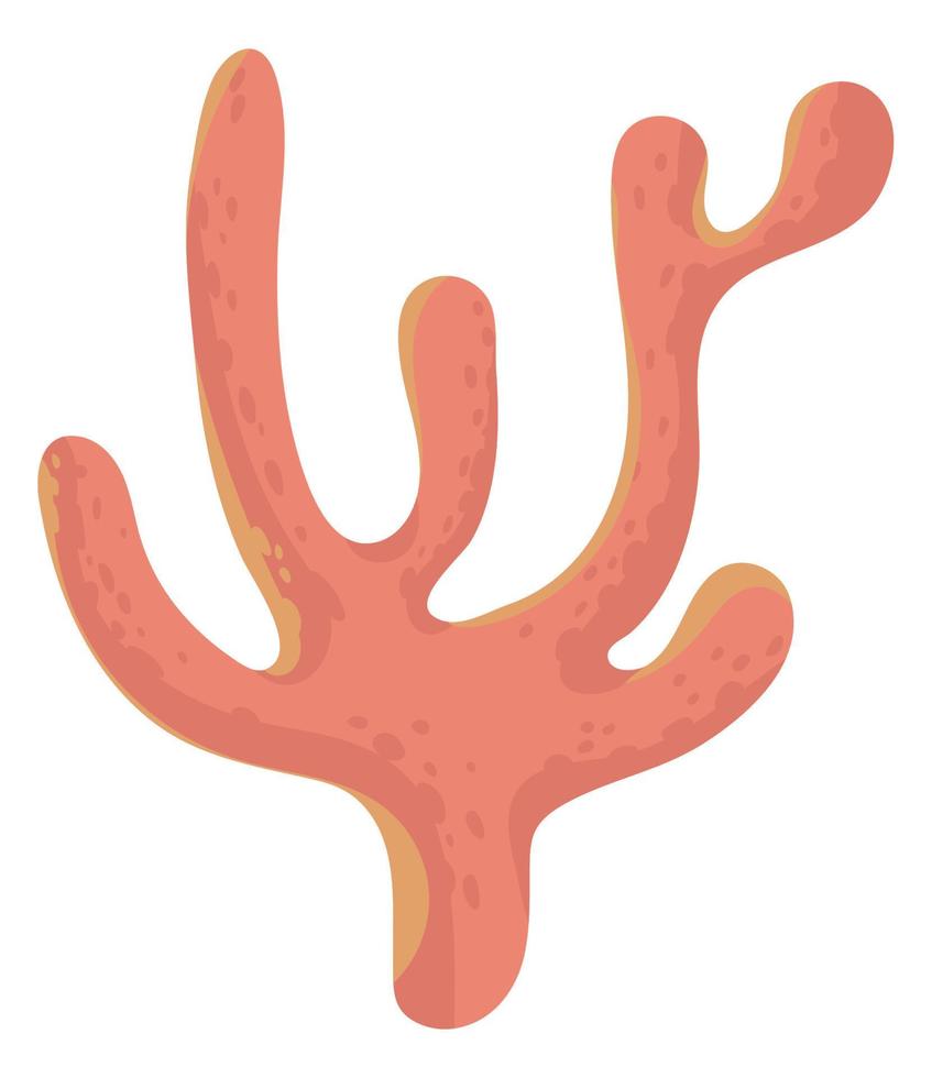 coral undersea icon vector