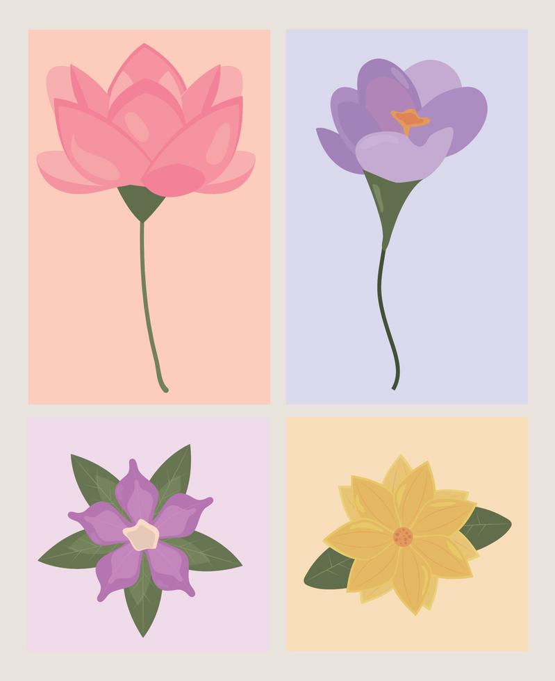 set of flowers vector