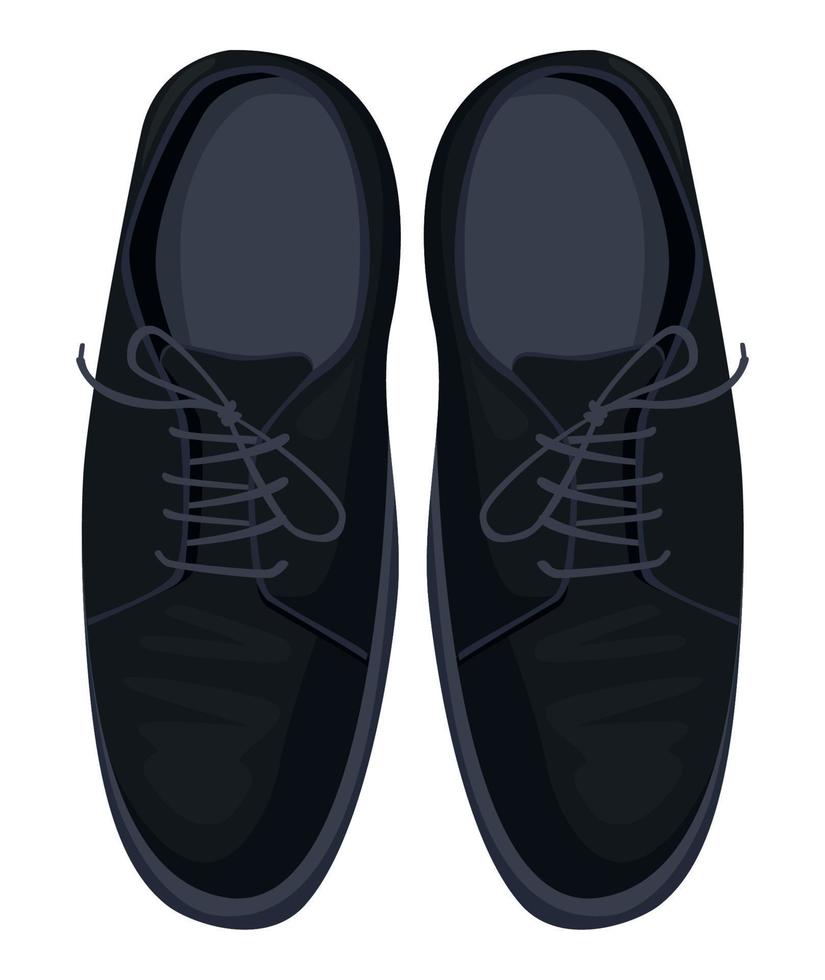 pair of elegant male shoes vector