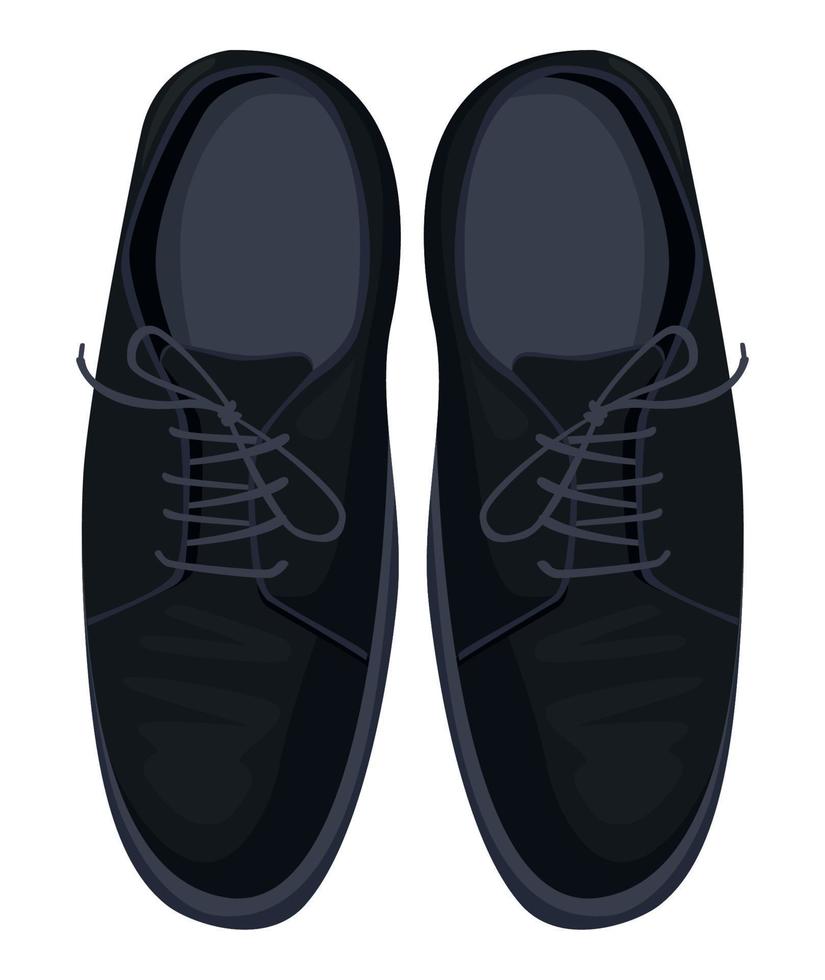 pair of elegant male shoes vector