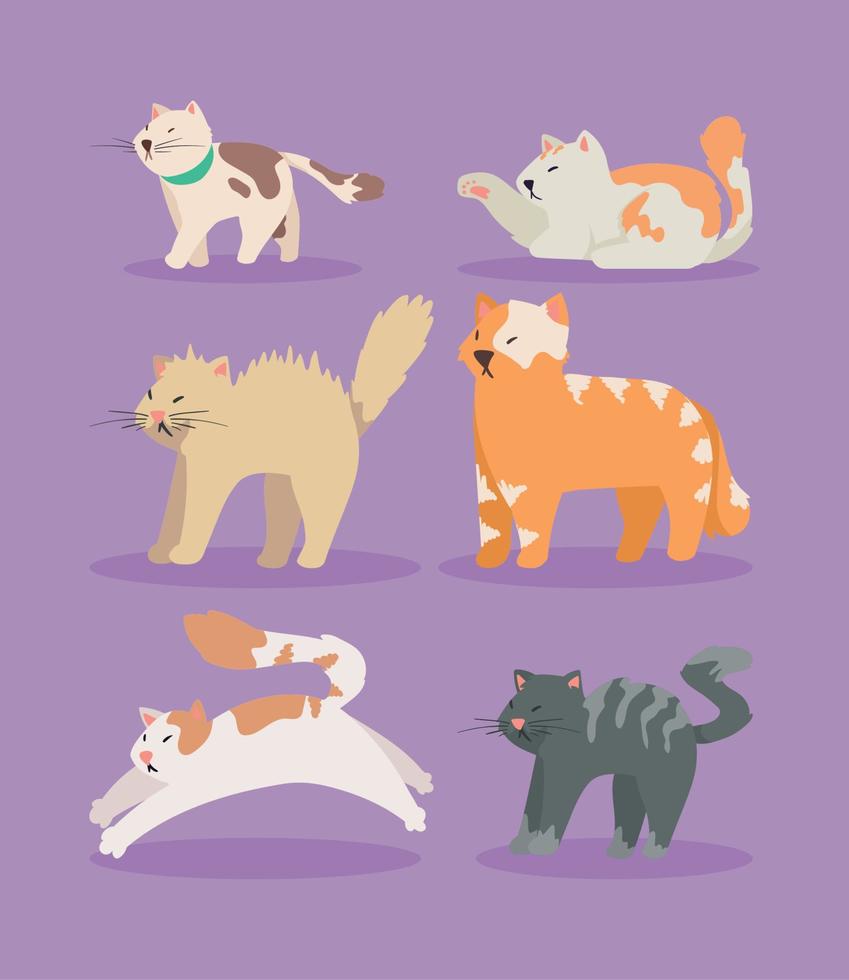 seis lindos gatos mascotas vector