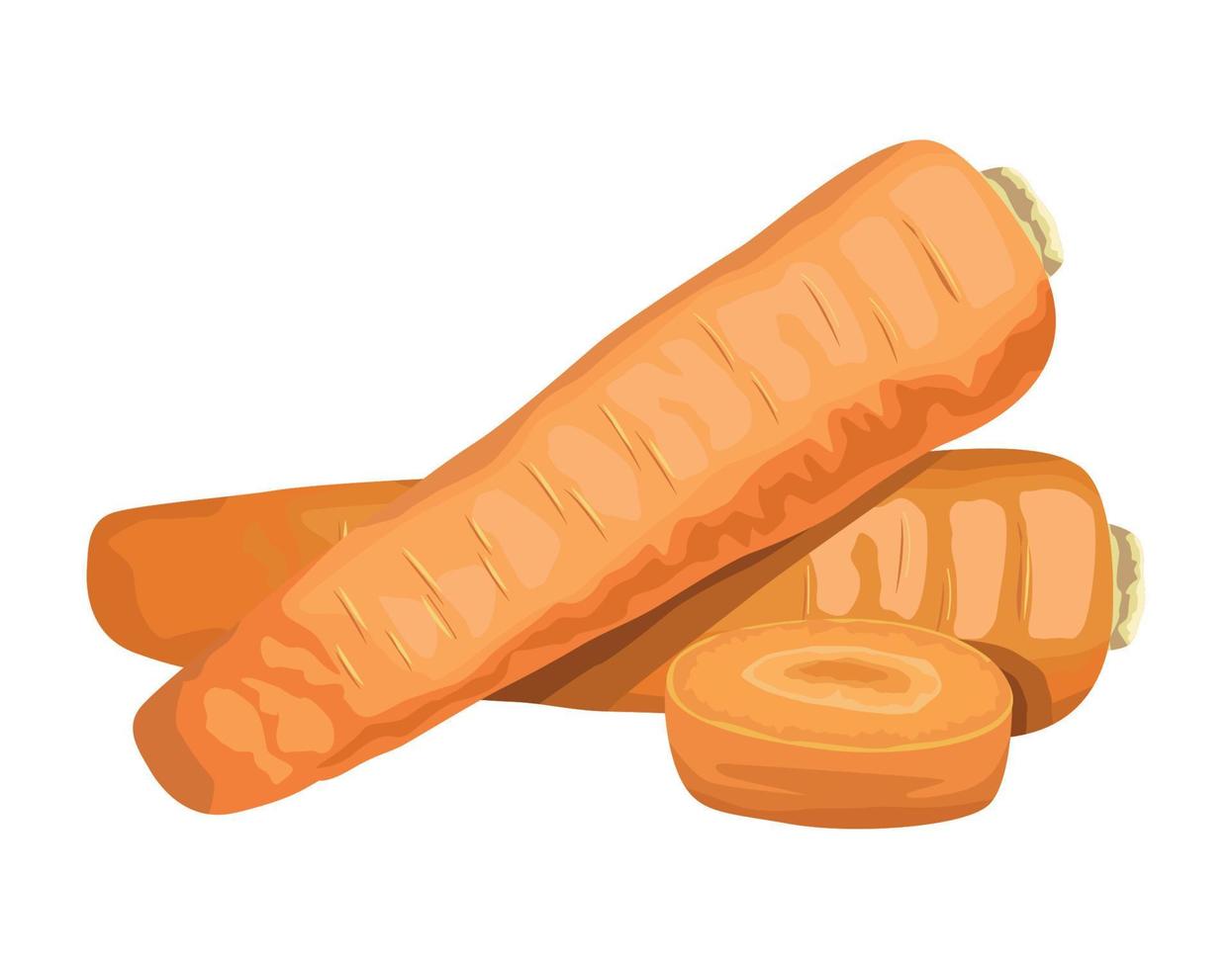 fresh carrots vegetable vector