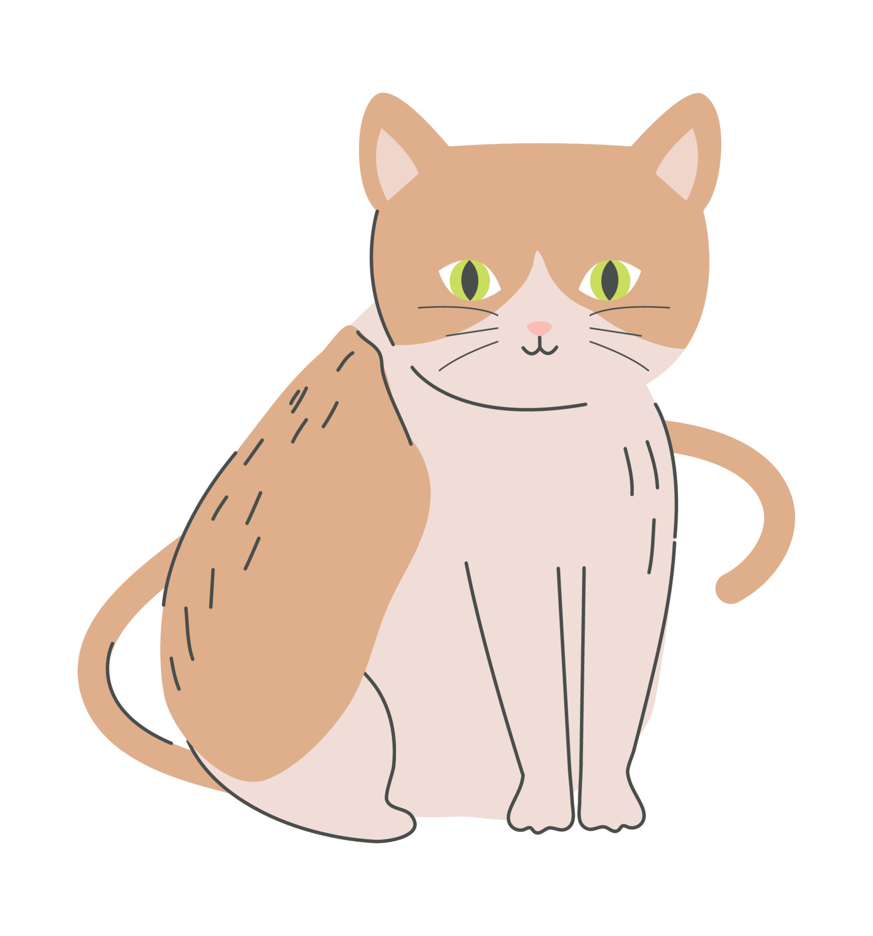 Free Vectors  Cute tabby cat icon