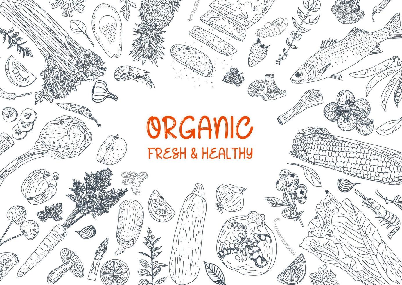 Healthy eating. Organic food illustration. vector