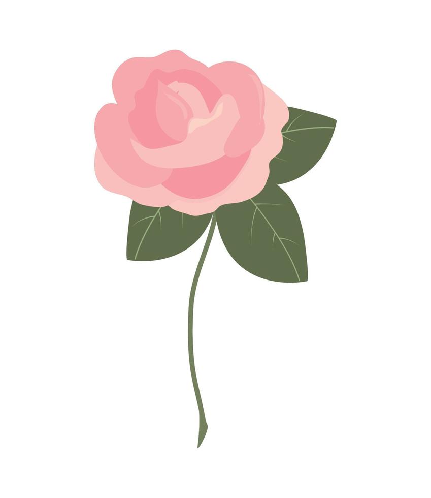 flower rose nature vector