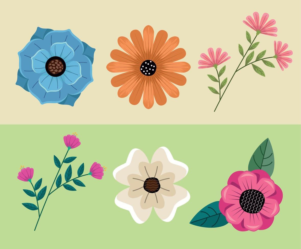 six spring flowers icons vector