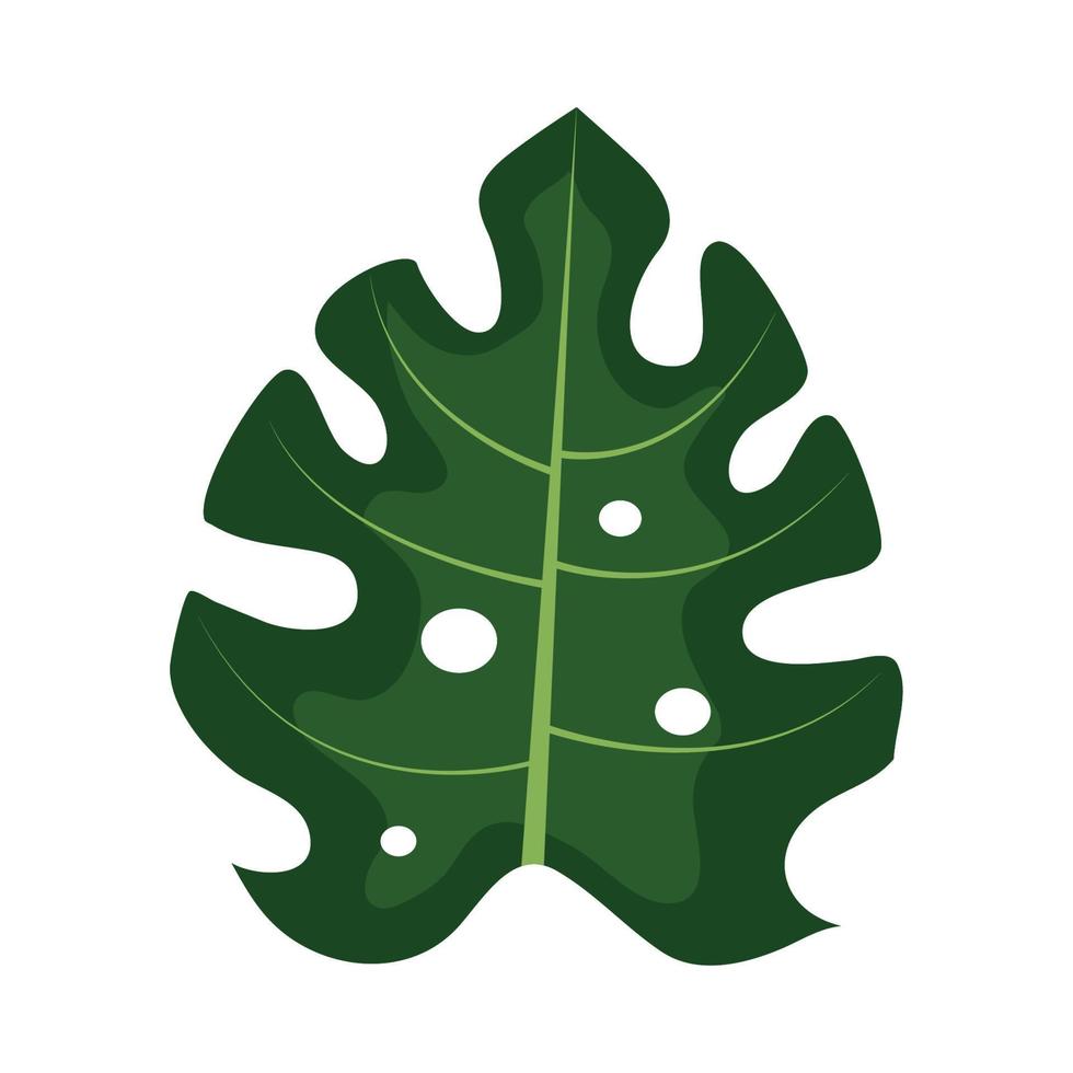 tropical monstera leaf vector