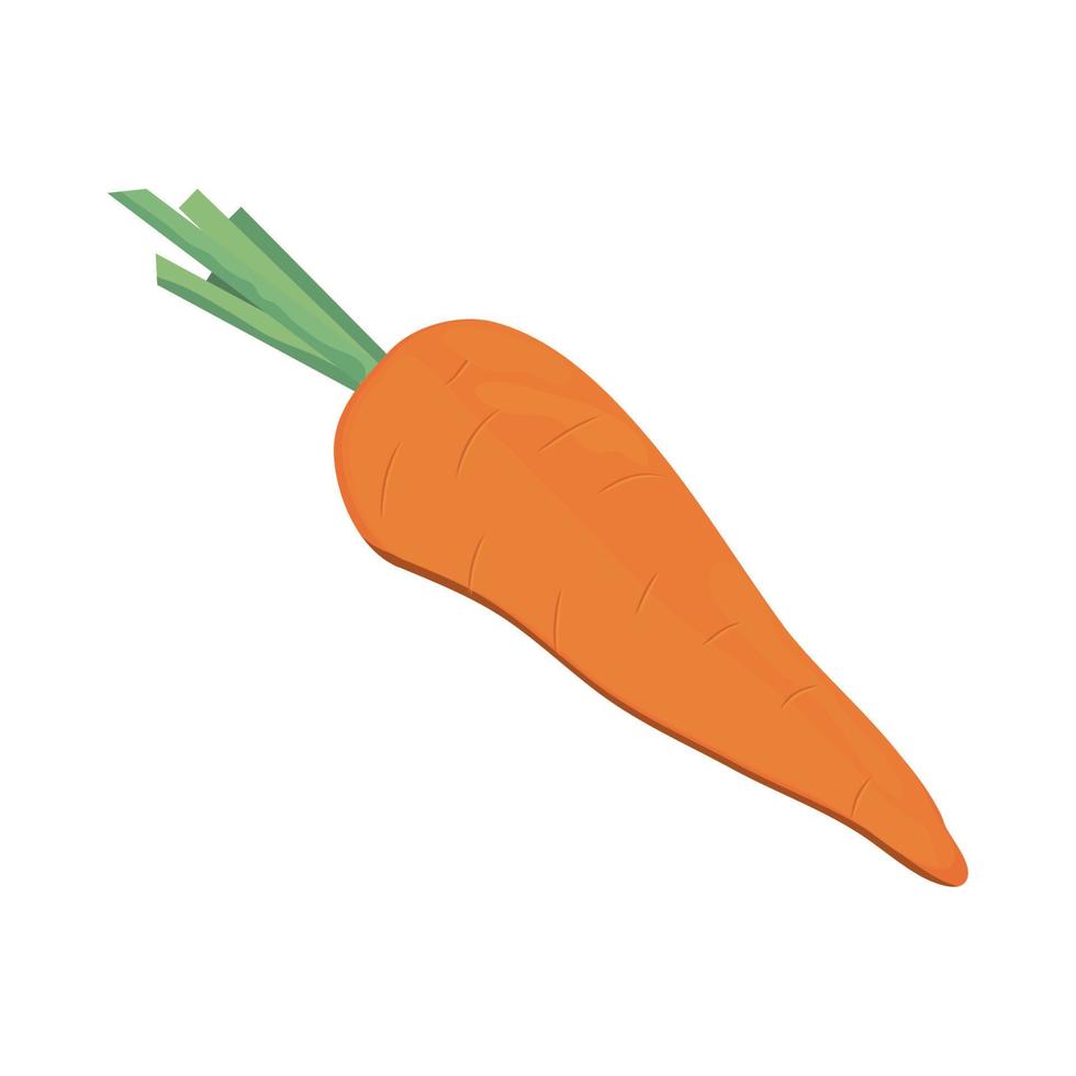 icono de vegetales de zanahoria vector
