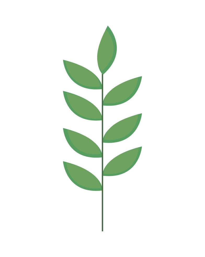foliage nature icon vector