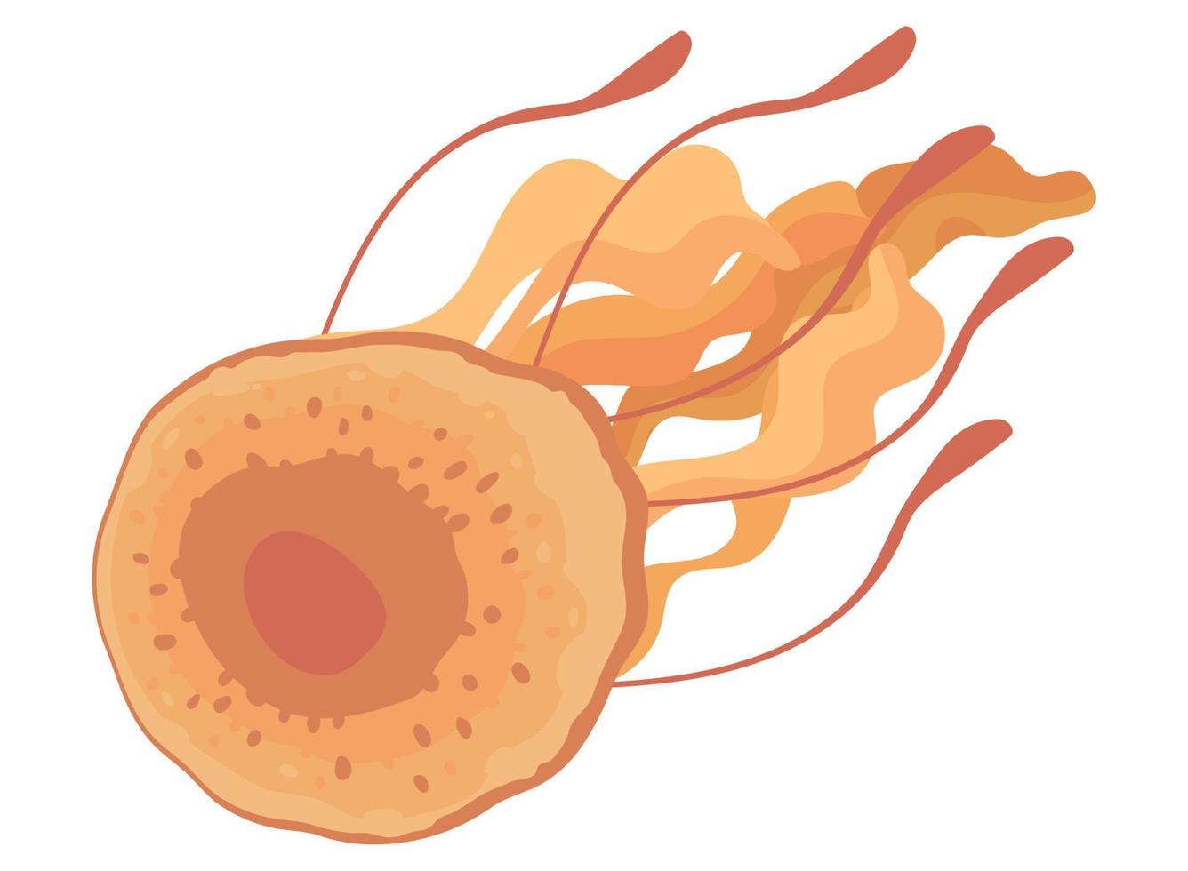 jellyfish creature icon vector