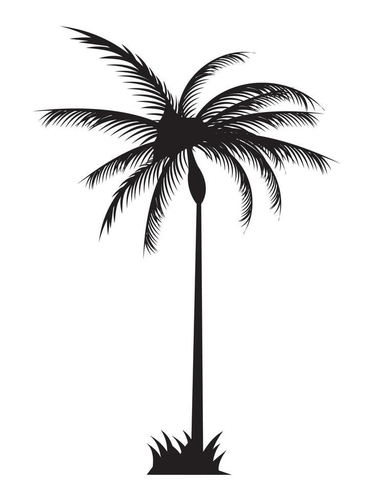 tree palm black silhouette vector