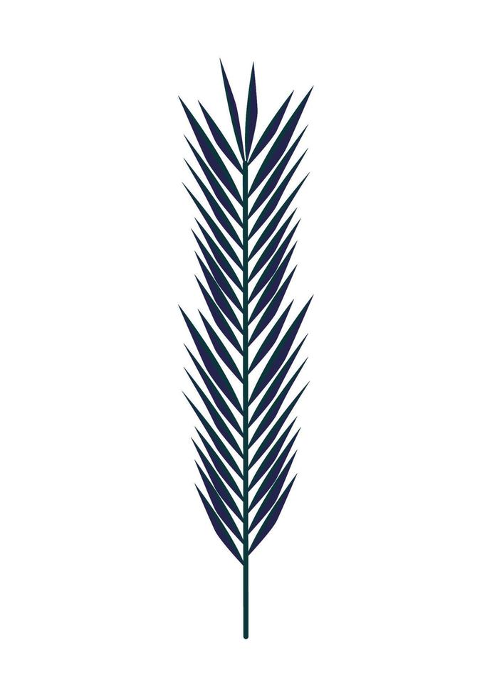 decorative leaf palm vector