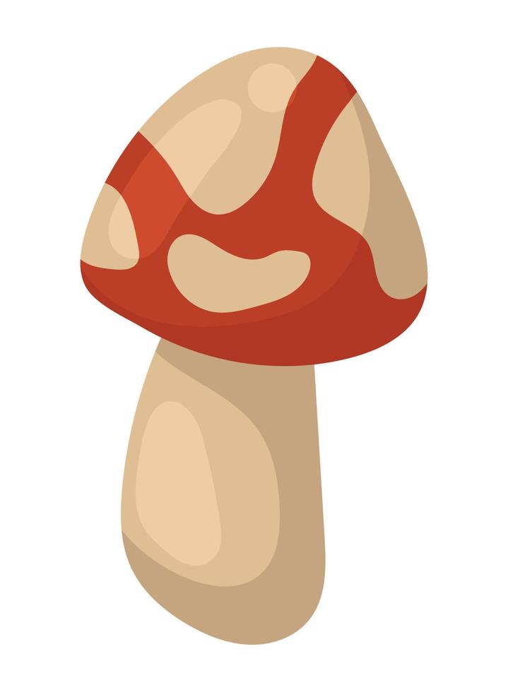 fungus autumn season vector