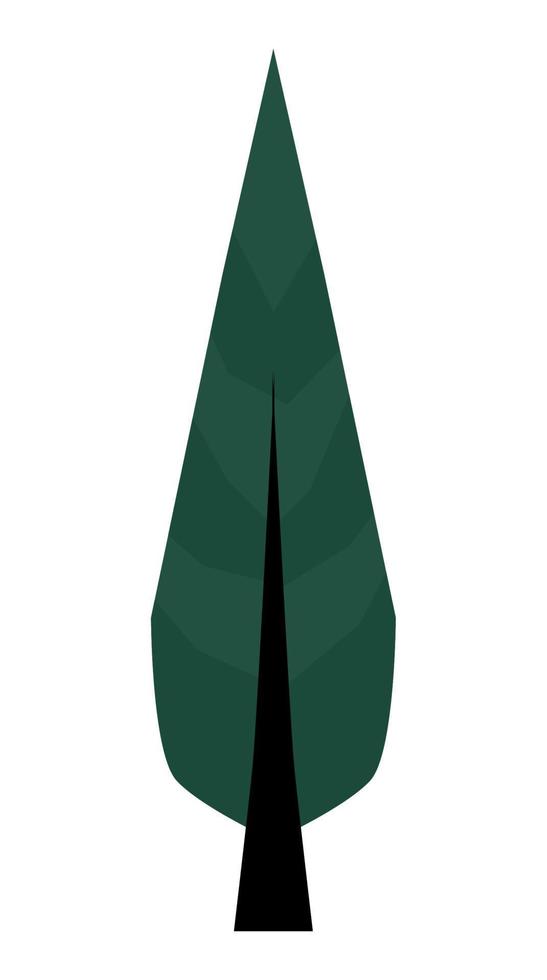 pine tree forest plant vector
