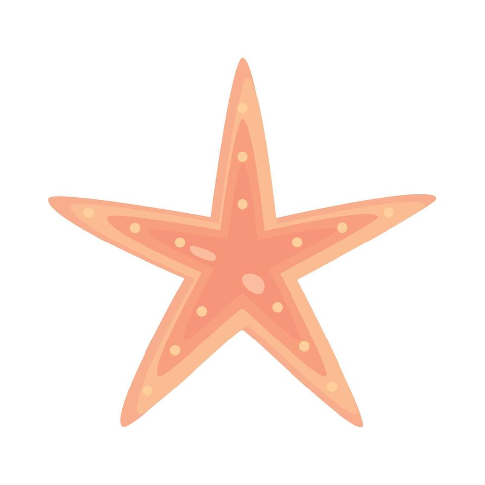 starfish sea life icon vector