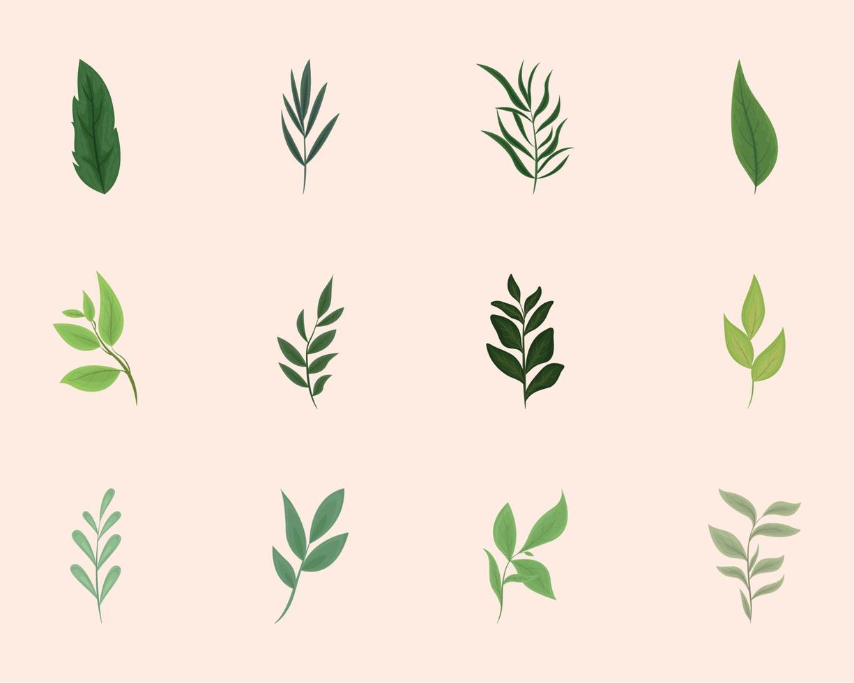 nature leaves and branches vector