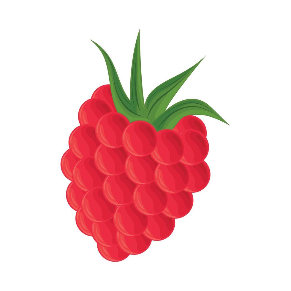 icono de fruta de frambuesa vector