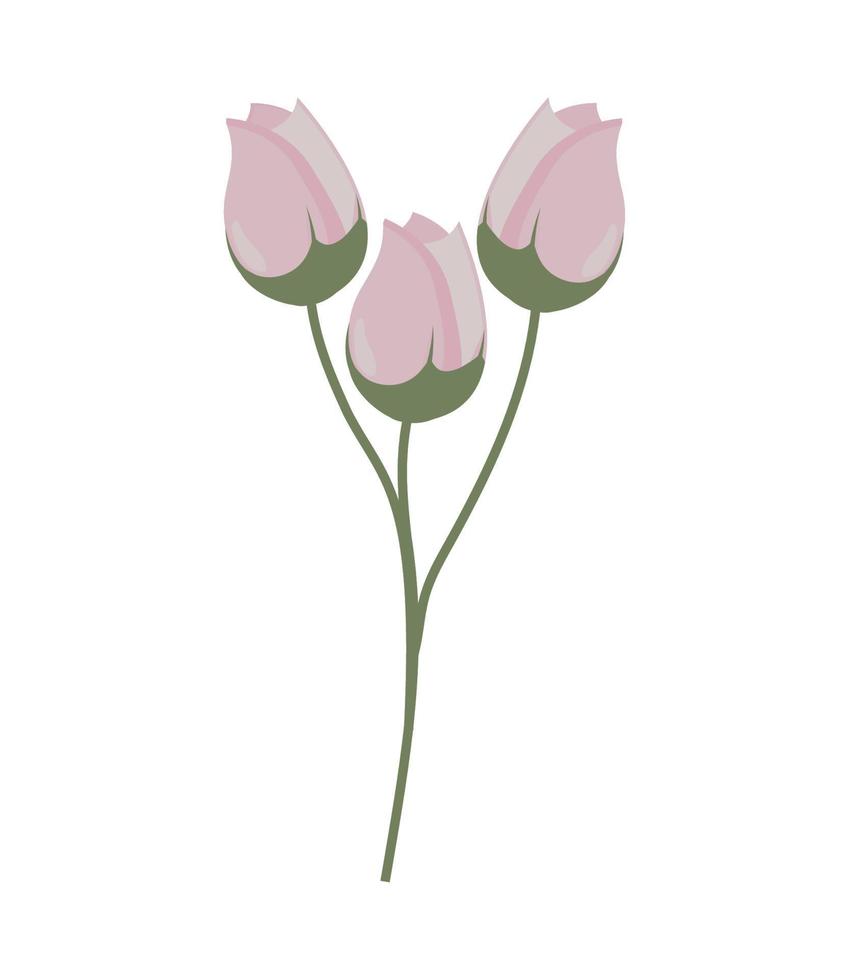 bunch flowers icon vector