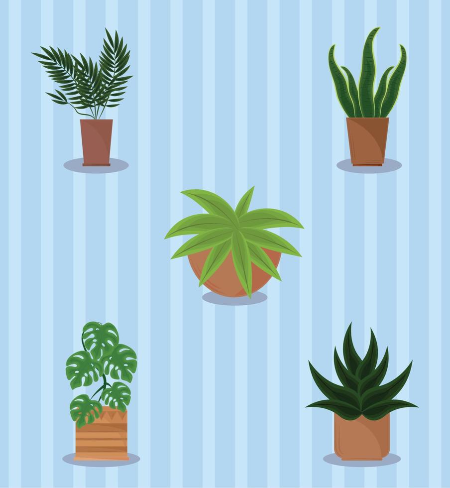 plantas en maceta vector