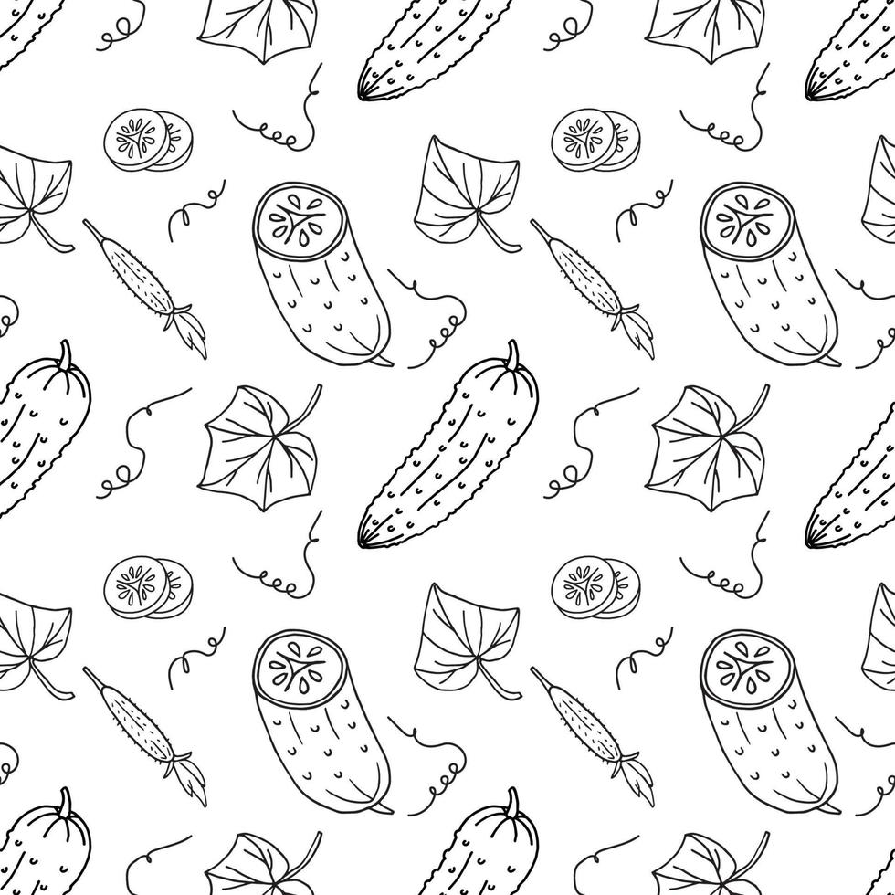 seamless pattern cucumber in doodle style vector