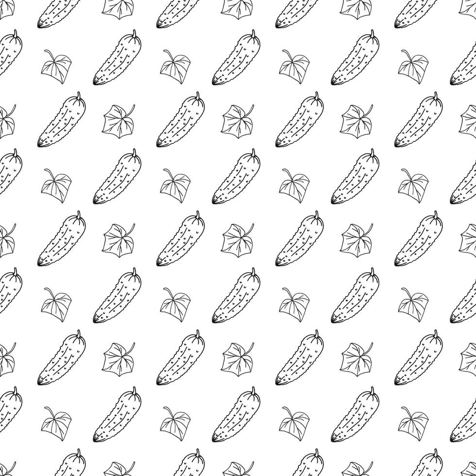 seamless pattern cucumber in doodle style vector