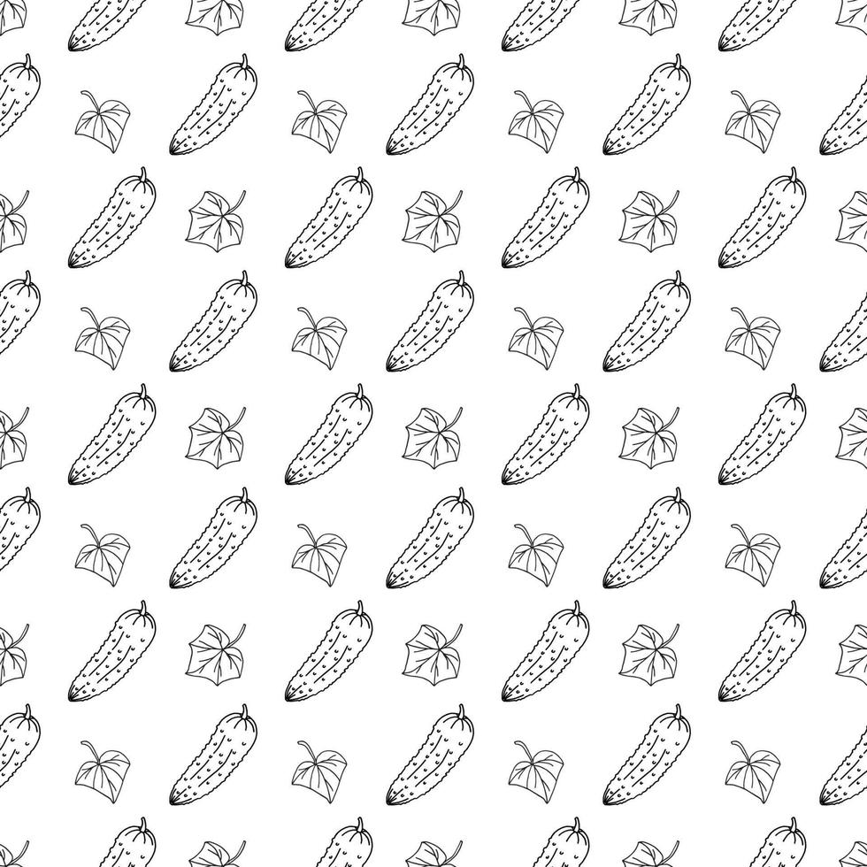 seamless pattern cucumber in doodle style vector