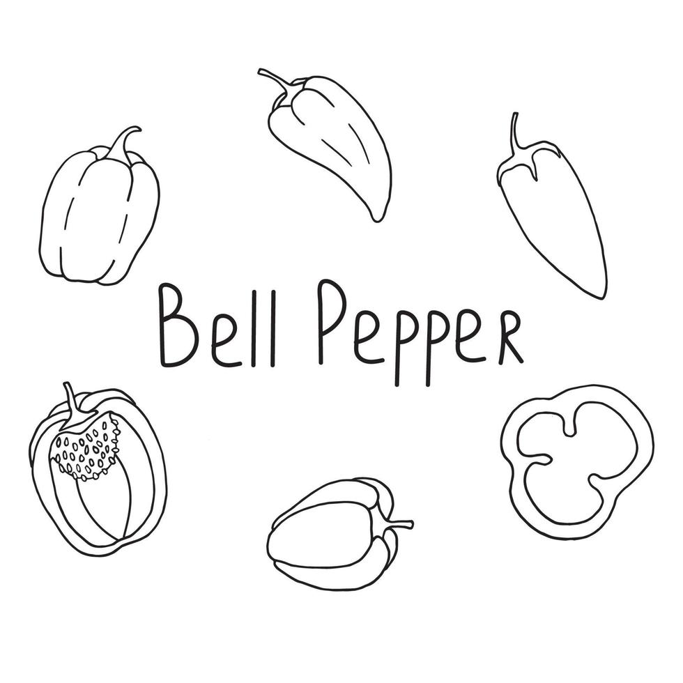 set of bell peppers in doodle style vector