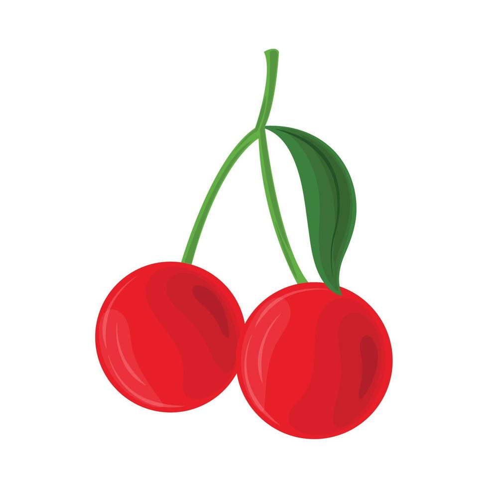 cherry fruit icon vector