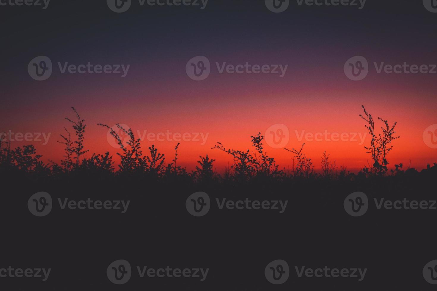 afterglow over a field photo