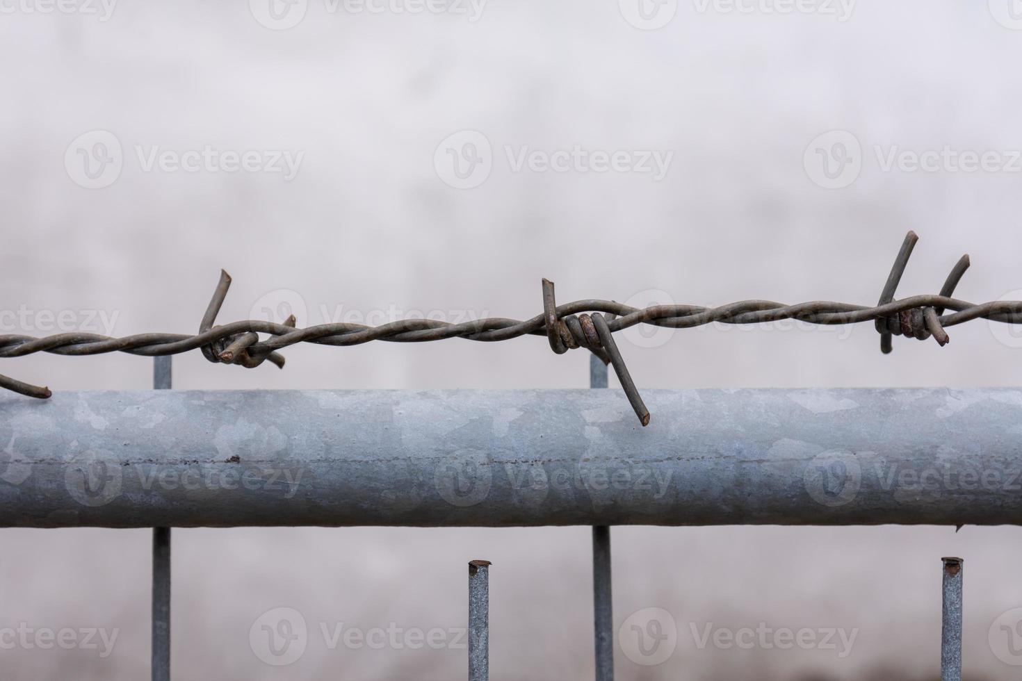 barbed wire on a fence photo