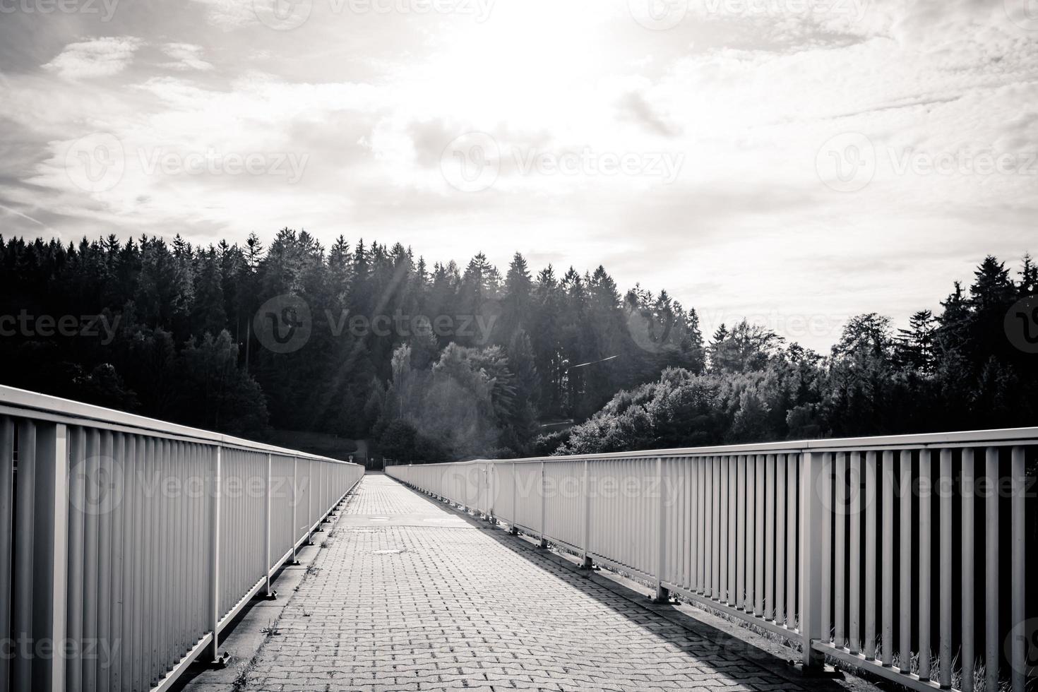 walkway with railing in nature 10466519 Stock Photo at Vecteezy