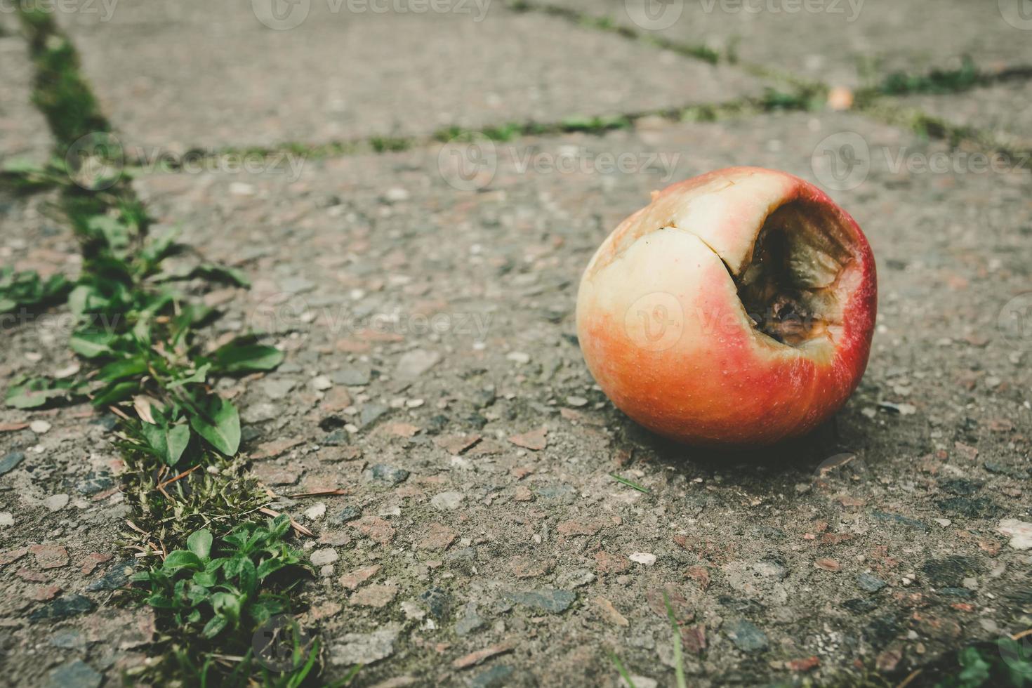 rotten apple on a street photo
