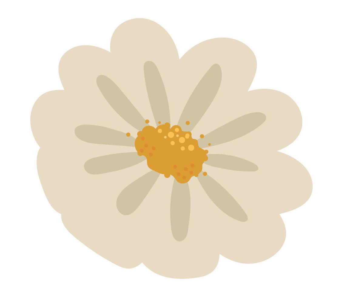 delicate flower icon vector