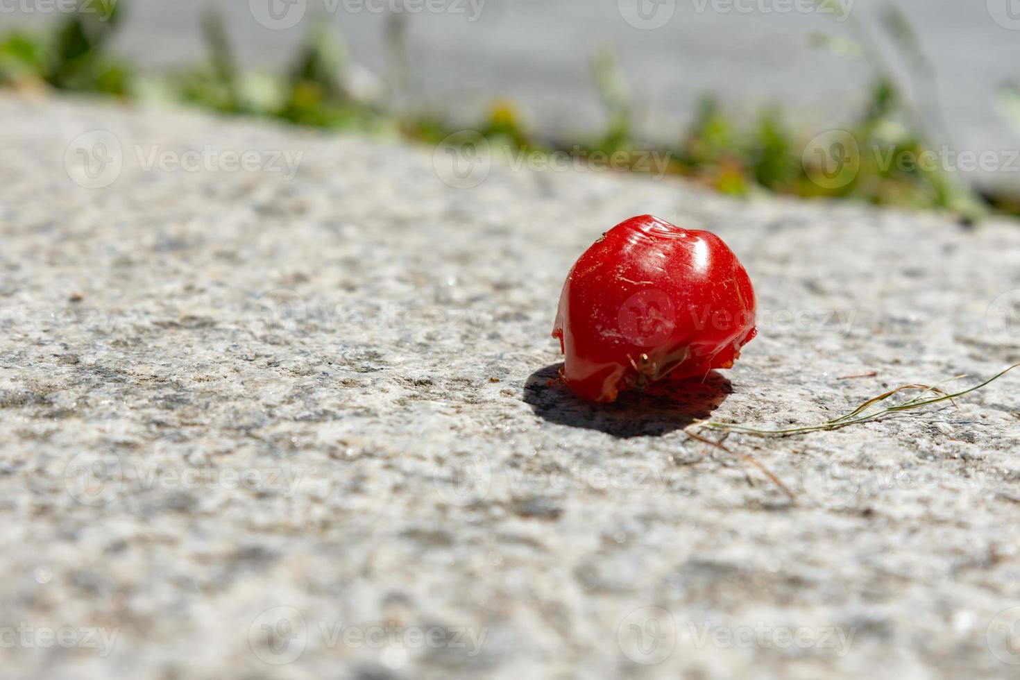 Old over ripe tomato on a stone background photo