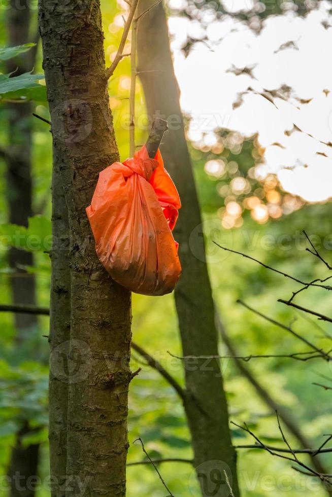plastic bag on a tree trunk photo