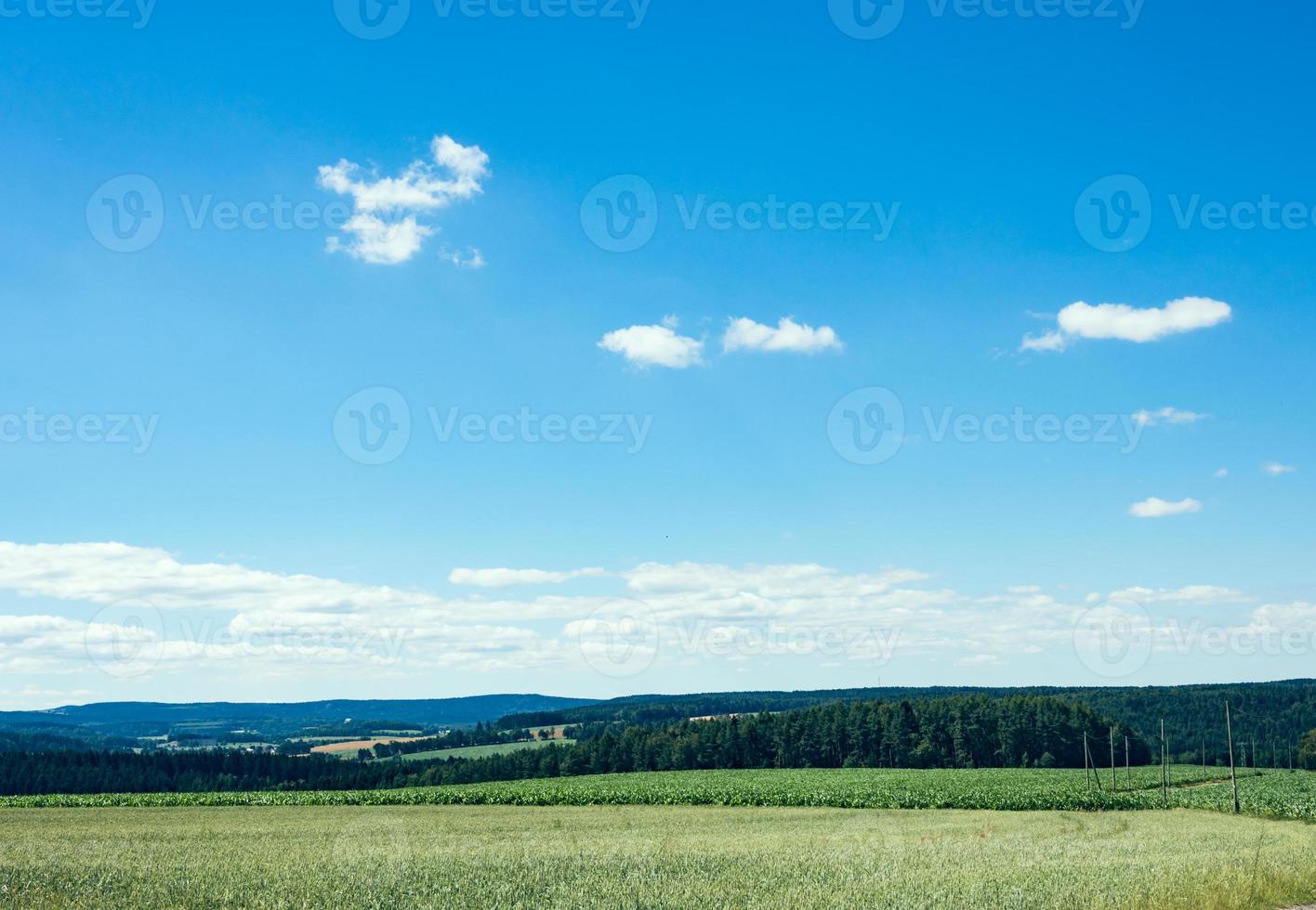 Landscape in the summer photo