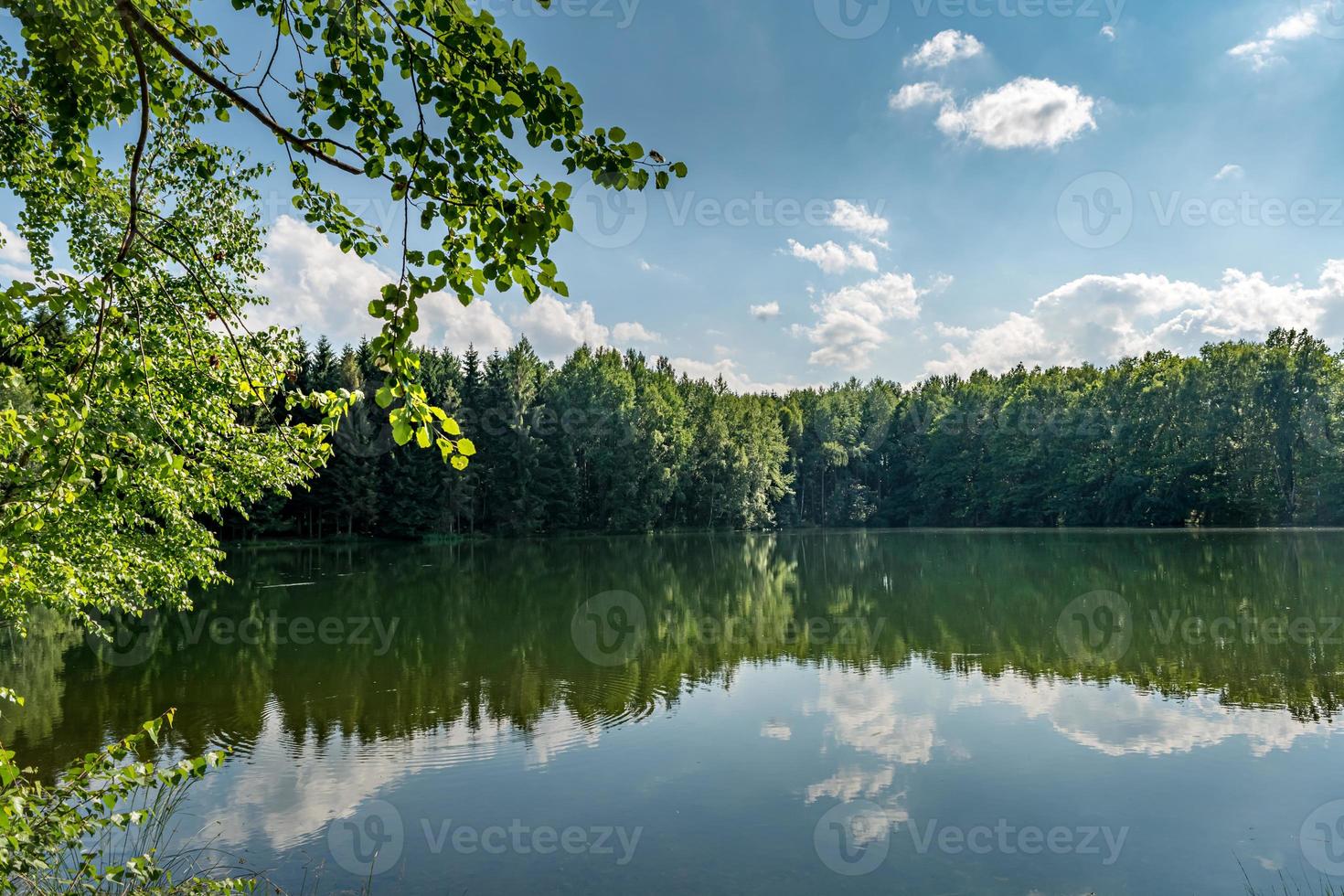 Sunny spring landscape with lake and reflections photo