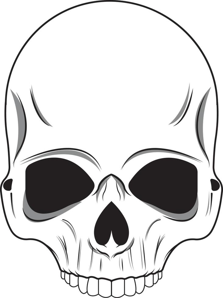 ilustración de calavera blanca vector