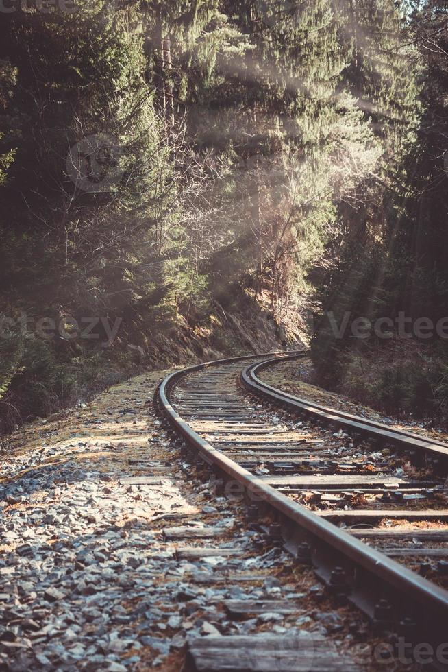 railway track in the forest with sunlight photo